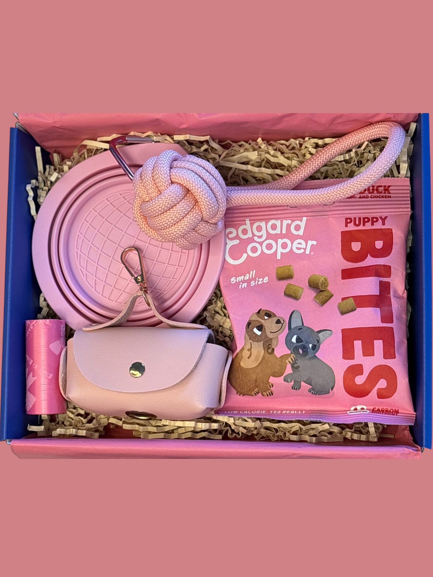 Paw-ty Box